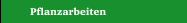 Pflanzarbeiten