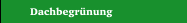 Dachbegrünung